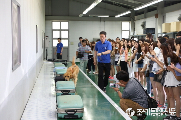 인천공항세관이 12일 전국 대학(원)생을 대상으로 세관 현장 견학 및 관세행정에 대한 설명회를 실시한 가운데, 참가한 학생들이 마약탐지견 센터를 참관하고 있다. <사진제공=인천공항본부세관>