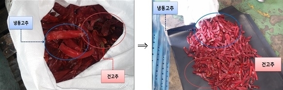 마른 고추 28톤을 냉동고추 92톤 속에 섞어 냉동고추로 품명 위장 밀수입 <자료제공=관세청>
