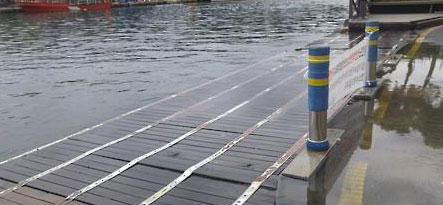 지난 달 17일 해수면 상승에 따른 침수 모습 / 연합뉴스