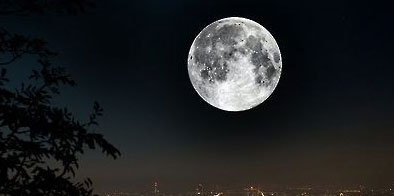 연합뉴스 자료화면