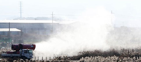 방역중인 모습 / 연합뉴스 자료화면