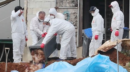 연합뉴스 자료화면