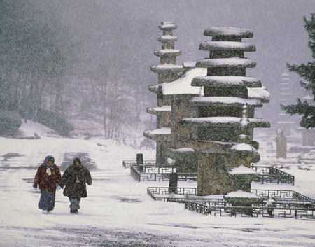 운주사 석불석탑군 / 문화재청