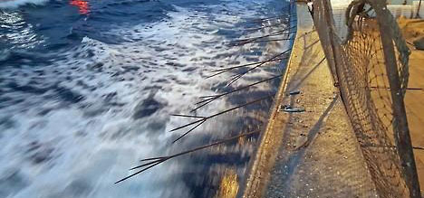 연합뉴스 자료화면