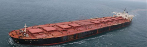 연합뉴스 자료화면