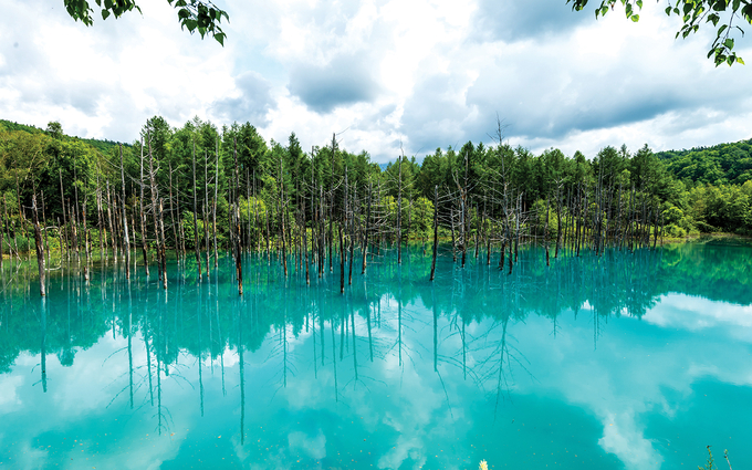 영롱한 푸른빛의 호수 비에이의 청의호수