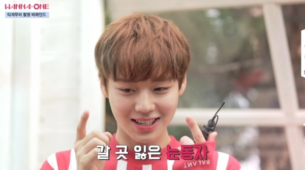 네이버 TV 캐스트