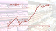 8월 소비자물가 2.6%↑두달째 연중 최고...5개월 연속 2%대 기록