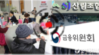 산림조합·지방은행으로 옮아간 가계대출 죄기…금융위 총량 관리 당부