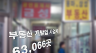 전국 부동산개발업자 5년만에 2배로 증가…세종, 가장 많이 늘어