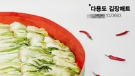 아성다이소, 가성비까지 챙기는 김장 준비...‘김장용품 기획전’ 진행