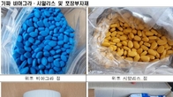 인천본부세관, 1천억원대 '가짜 발기부전치료제' 밀수 유통한 일가족 검거