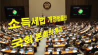 양도세 비과세기준 12억원·가상자산 과세 1년 유예…소득세법 통과