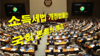 양도세 비과세기준 12억원·가상자산 과세 1년 유예…소득세법 통과