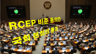 '세계 최대 FTA' 역내포괄적경제동반자협정 비준안 국회 통과