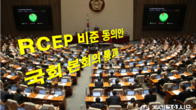 '세계 최대 FTA' 역내포괄적경제동반자협정 비준안 국회 통과