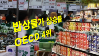 3분기 밥상물가 5.0% 뛰어 OECD 4위…전체 물가 상승률 20위