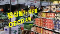 3분기 밥상물가 5.0% 뛰어 OECD 4위…전체 물가 상승률 20위