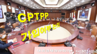 정부, 'CPTPP 가입여부' 13일 대외경제장관회의에서 결론낼듯