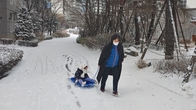 [포토뉴스] 수도권에 대설주의보 함박눈 '펑펑'...어린이들 눈썰매와 눈싸움에 '홀릭'
