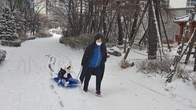 [포토뉴스] 수도권에 대설주의보 함박눈 '펑펑'...어린이들 눈썰매와 눈싸움에 '홀릭'