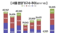 올해 서울 59개 단지서 5만4400가구 공급…지난해 8배 급증
