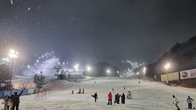[포토뉴스] 함박눈 날리는 평창 피닉스파크 야간 스키장 '황홀'
