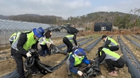 [포토뉴스] NH농협은행 대손보전기금부, 농가 찾아 일손돕기 '구슬땀'