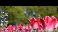 [詩가 있는 아침] 튤립 사랑