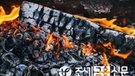 메주 발암물질 해독하는 ‘숯’…몸속 바이러스 솎아내는 면역제로 각광