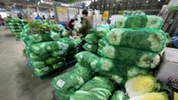 농산물 가격 더 오른다…9월 배추 도매가 전월 대비 36.5%↑