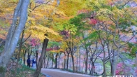 [포토뉴스] 울긋불긋 애기단풍 손짓하는 순창군 강천산