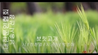 [詩가 있는 아침] 보릿고개