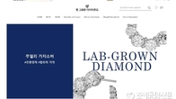 SSG닷컴, '랩그로운 다이아몬드' 공식브랜드관 오픈