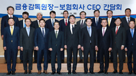 [포토뉴스] 금융감독원, 보험회사 CEO 간담회 개최