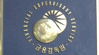 금감원, 보험사 책임준비금 외부검증…자율규제 개선
