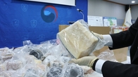 부산세관, '고래고기' 밀수업자 다수 적발...여러명 명의로 4.6t 분산밀수