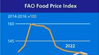 세계 식량가격 12개월째 하락세…육류·설탕은 상승