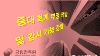 금감원, 160개사 재무제표 심사·감리...중대 회계 부정시 엄중 조치