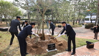“올 식목일엔 회화나무 심었죠”…광주국세청 사람들의 선한 영향력 ‘뿜뿜’
