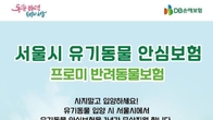 DB손보, 서울시와 유기동물 입양 활성화 앞장선다