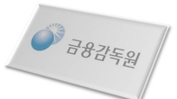 금감원, 재무공시 새언어 'XBRL' 시스템 시범 가동