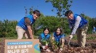 SC제일은행, 도심 숲 조성 위한 '꿈나무 심기' 진행