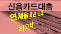 은행 신용카드 대출 연체율 8년 만에 최고치 기록