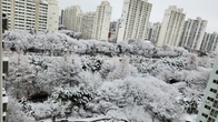 [포토뉴스] 눈 떠보니 설국...