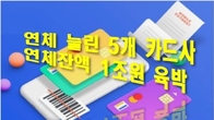 카드대출 늘린 5개 카드사 연체잔액 1조원 …연체율 9년 만에 최고