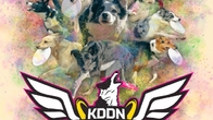 국제 디스크도그 대회 ‘KDDN 챔피언십 2024’ 개최