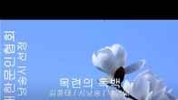 [詩가 있는 아침] 목련의 독백