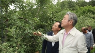 강호동 농협중앙회장, 거창 사과농가 방문...생육 상황 점검