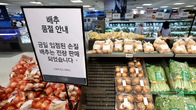 배추 평균 소매가 9천500원 상회…농식품부, 중국산 16t 국내 반입